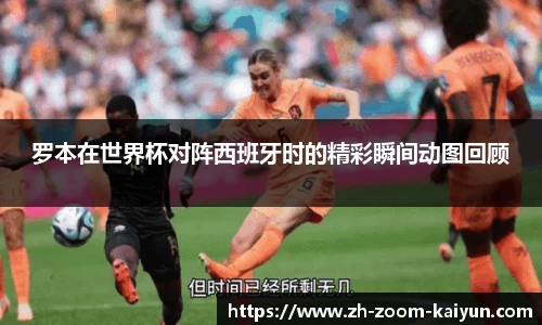 罗本在世界杯对阵西班牙时的精彩瞬间动图回顾
